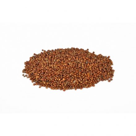 Grains of paradise 1 kg