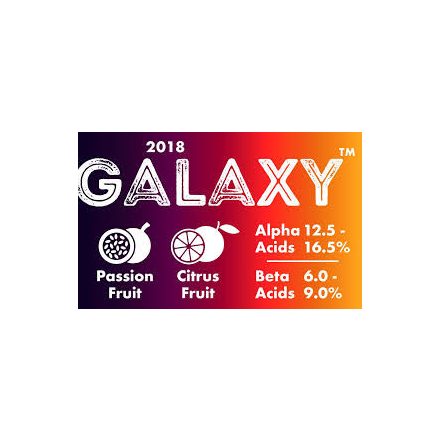 Galaxy™ komlópellet T90, 100g 