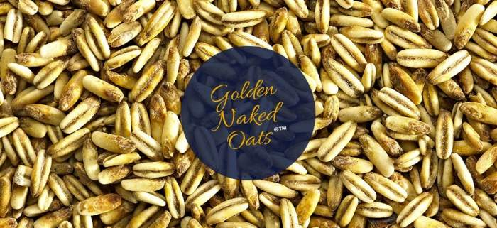 Simpsons Golden Naked Oats®™ (oat crystal malt)